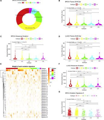 Intrinsic Genetic and Transcriptomic Patterns Reflect Tumor Immune Subtypes Facilitating Exploring Possible Combinatory Therapy